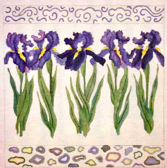 182716 Rhapsody in Blue Irises