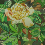 9241-PP White Rose