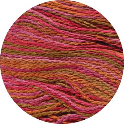 Alpaca Sox