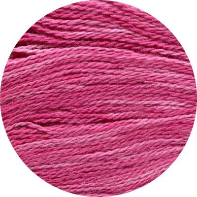 Alpaca Sox