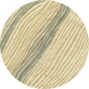 Cotton Merino Plus
