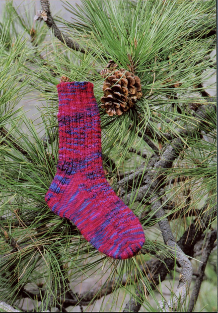 Fish Ladder Socks – Personal Threads Boutique