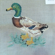 Four Wives B6012 Duck