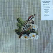 Four Wives C0003 Arizona Cactus Wren and Cactus Blossom