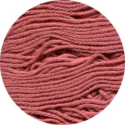 Inca Alpaca