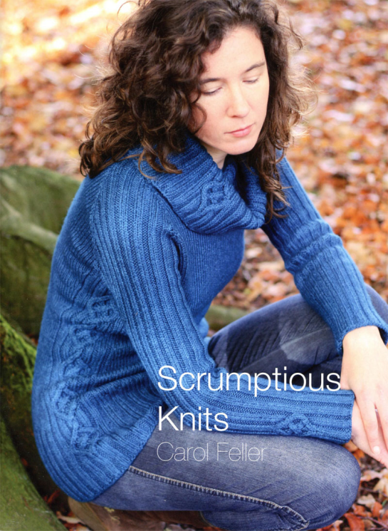 Scrumptious Knits by Carol Feller